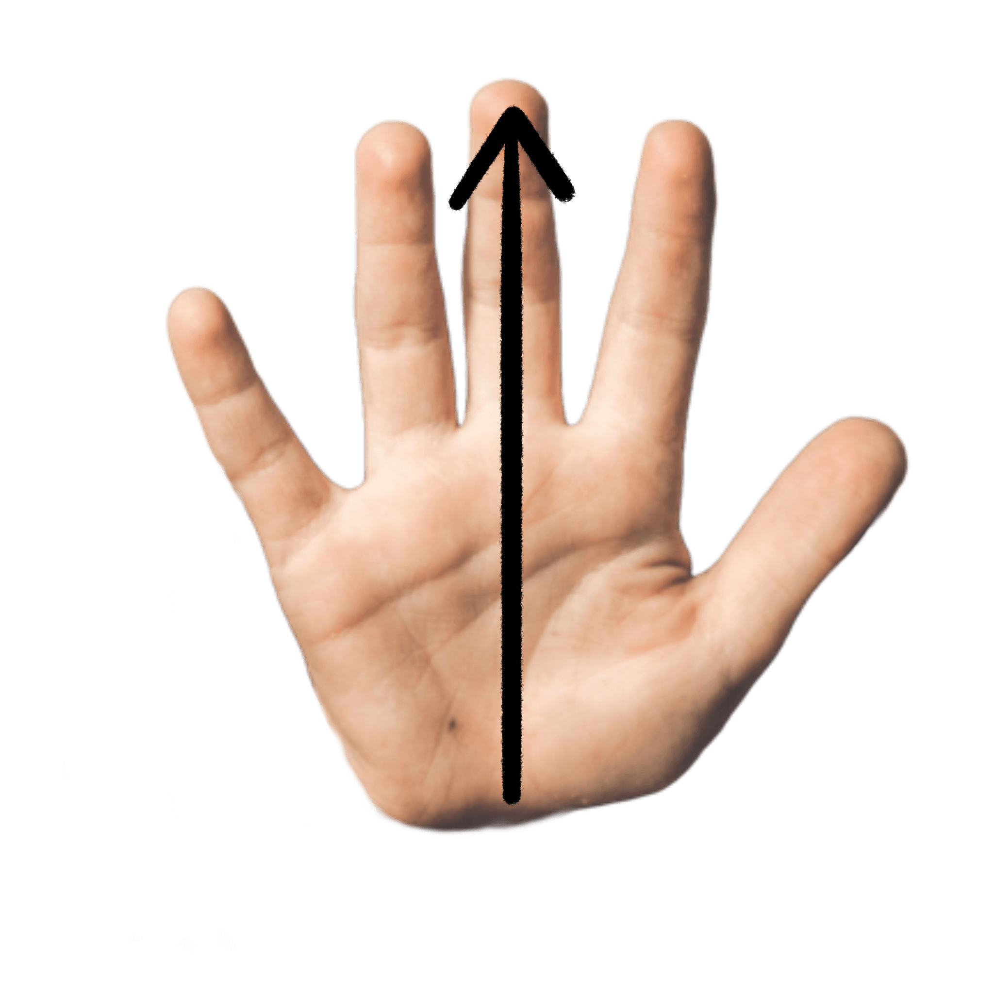 Comment bien choisir sa taille de gants de gardien de but?