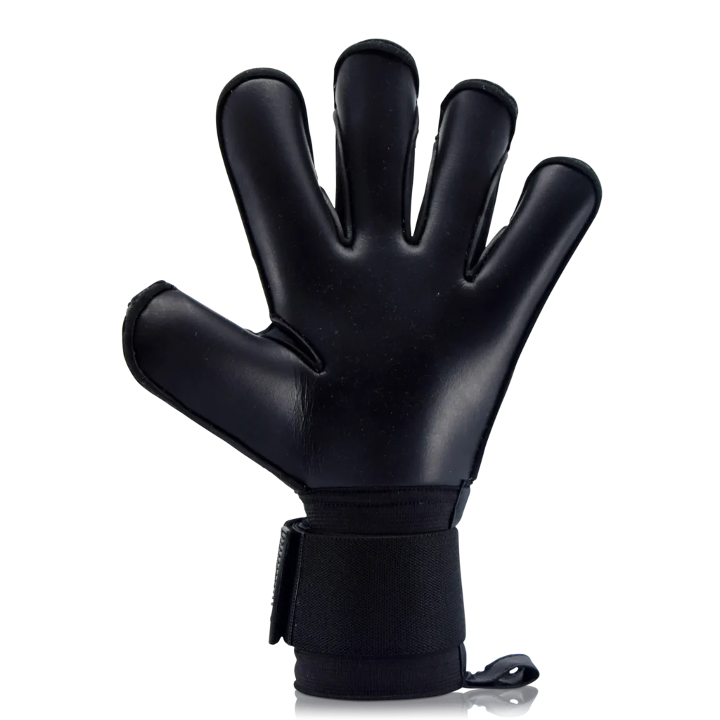 Gants gardien Hydra Black